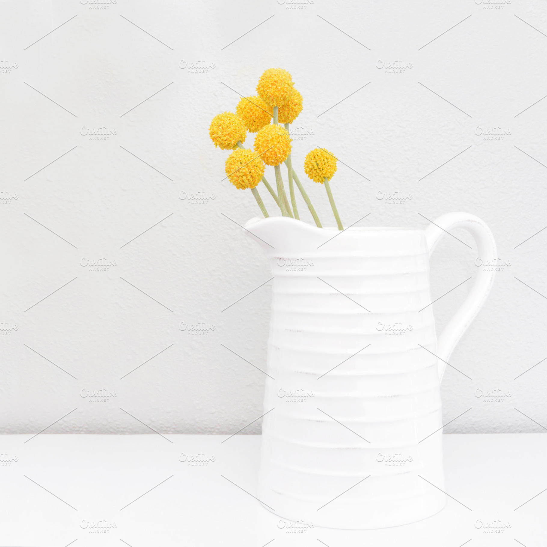Farmhouse Pitcher with Billy Balls, a Beauty & Fashion Photo by Stitch & Shutter Stock