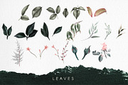 WATERCOLOR BUNDLE Peonies & Roses, an Illustration by ollalya (Thumbnail 73 of 101)