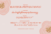 Pomegrande Script Typeface, a Script Font by Dawnside Graphic (Thumbnail 4 of 13)
