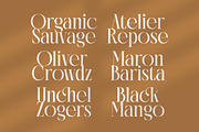Rich Dashy Modern Elegant Serif, a Script Font by timelesstype.co (Thumbnail 11 of 20)