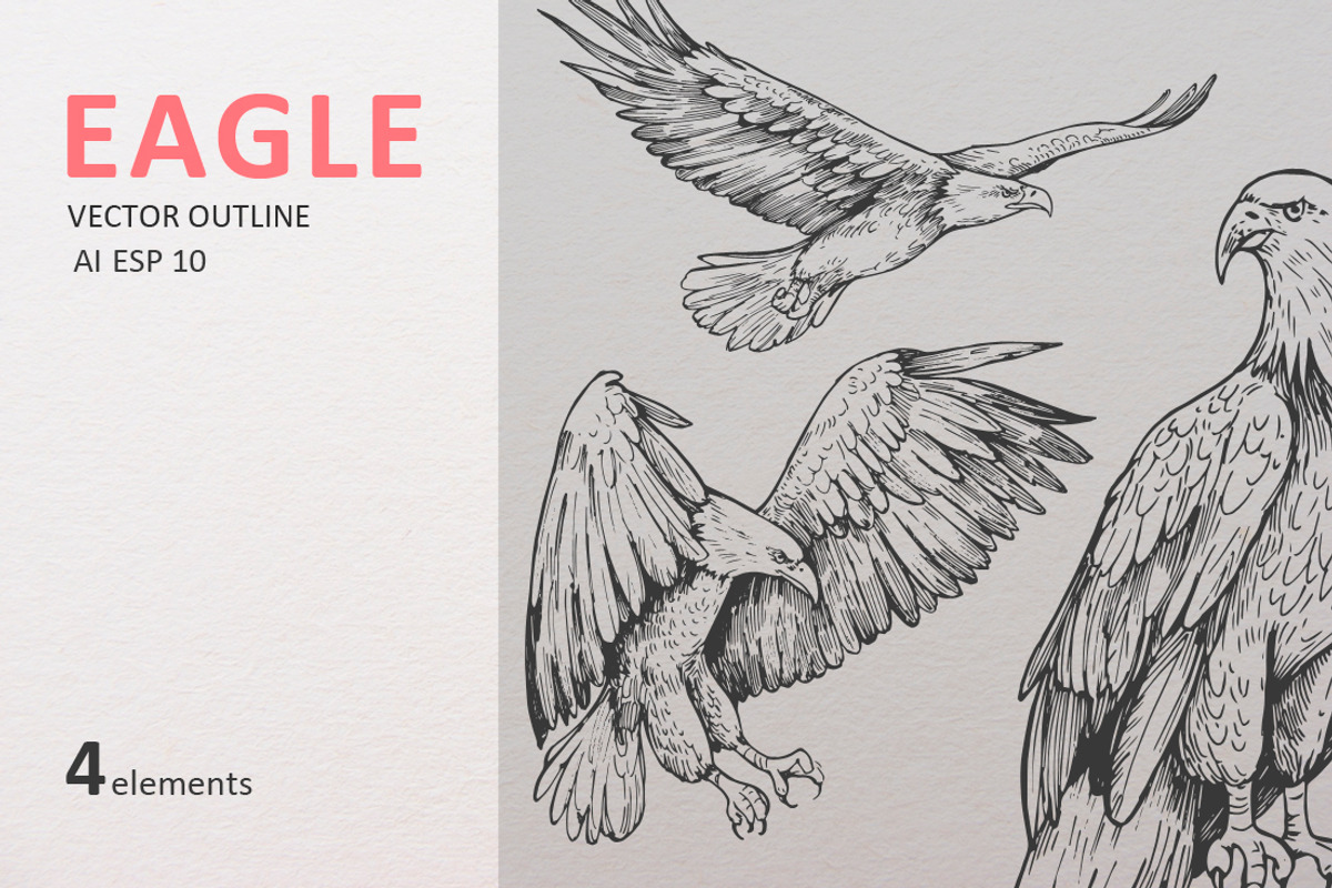 Eagle outline, an Object Illustration by Aksol (Photo 1 of 2)