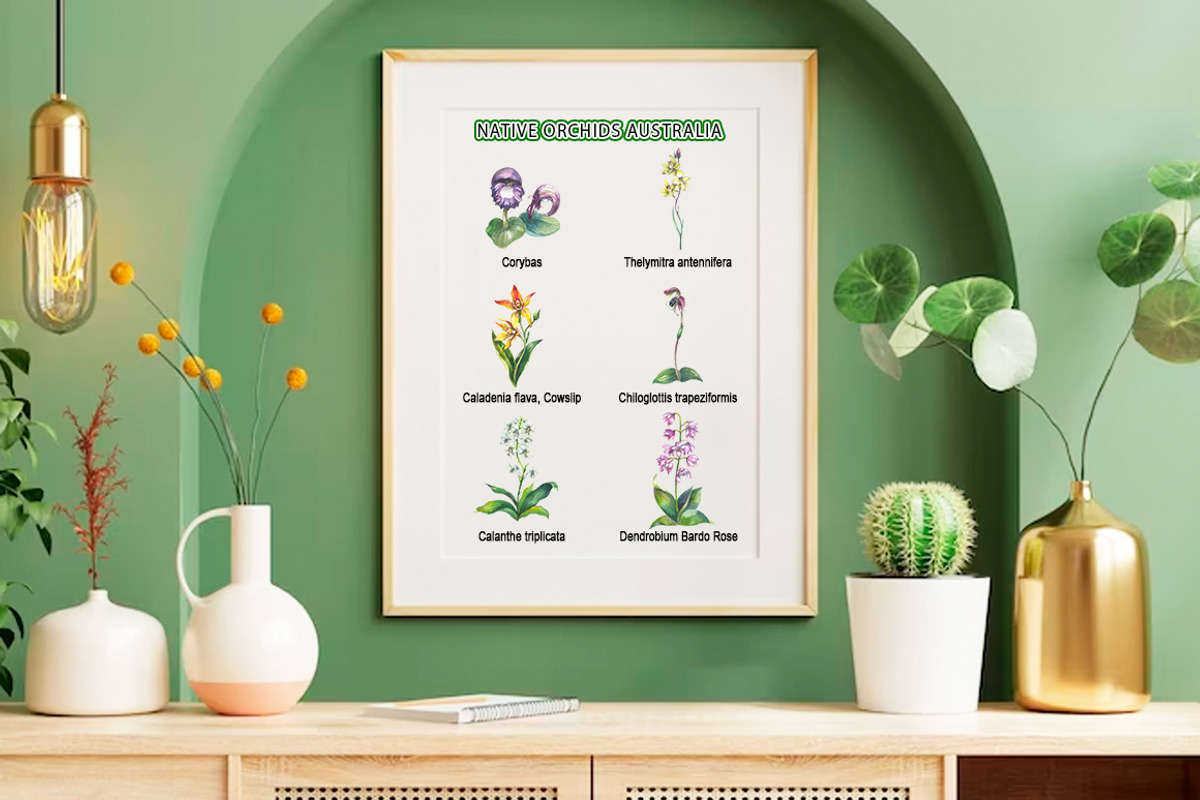 Native Orchids Flowers in  Australia, an Object Illustration by FITALARTSNEDIGI (Photo 5 of 7)