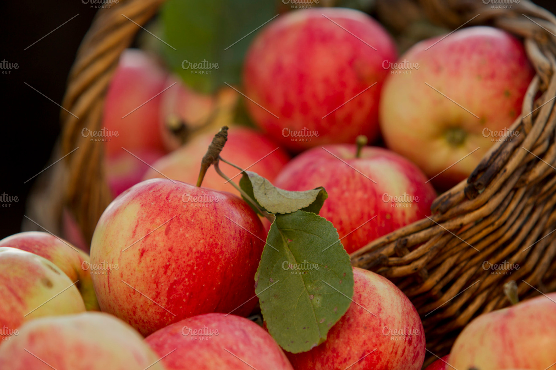 Apples Featuring Apple Garden And Fruit