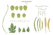 Hop branches. Vector collection, a Decorative Illustration by kateja (Thumbnail 3 of 4)