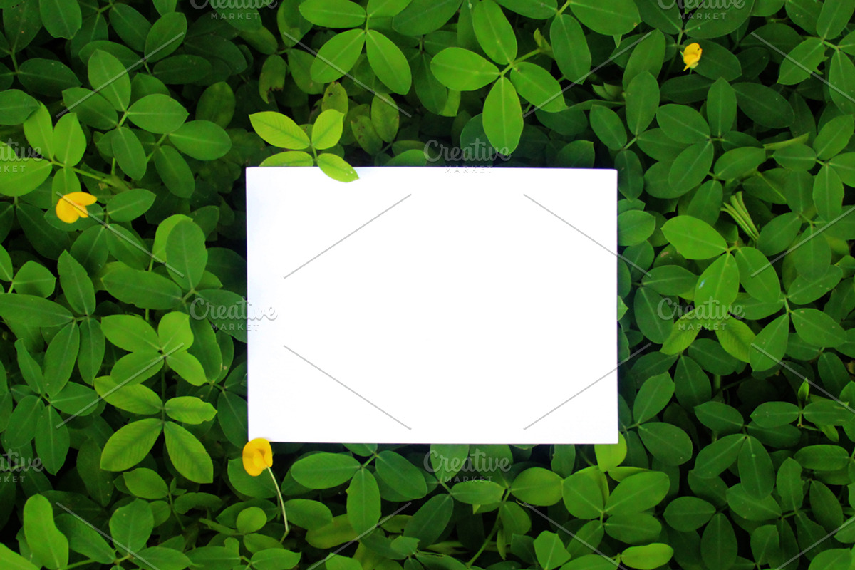 Greenery Mockup, Styled Stock Photo, a Product Mockup by littleprince (Photo 2 of 3)