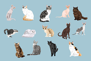 Cat Breeds Clip Art Illustrations