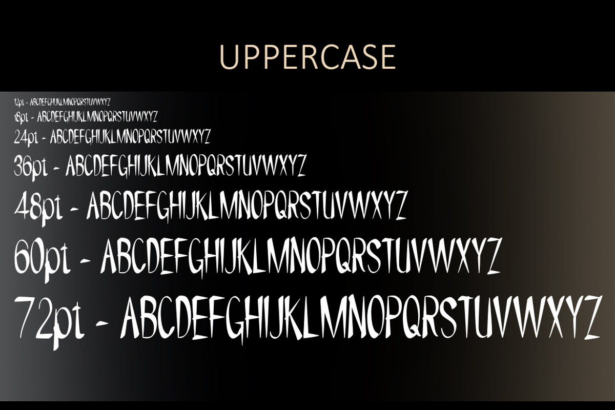 NYOEHOKA Modern Sans Serif preview 2
