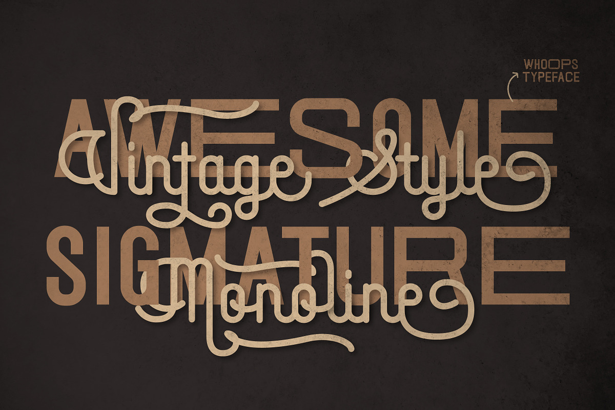Sigmature Monoline Beautiful Script, a Script Font by Lettertype Studio (Photo 4 of 15)