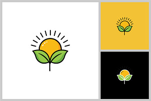 Sun with Leaf Icon Vector, a Solid Icon by quadrazo