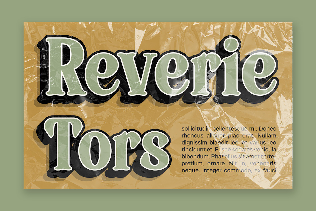 Badoney 3D, a Serif Font by Craft Supply Co. (Photo 7 of 8)