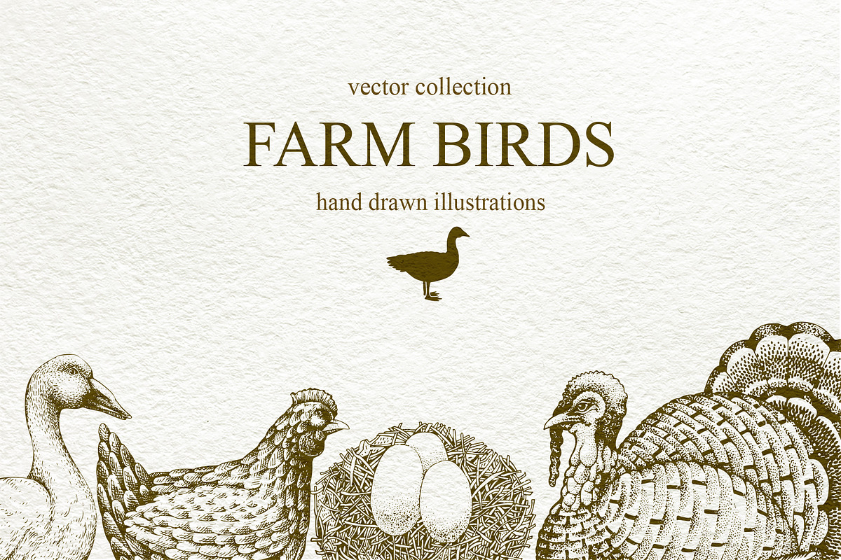 Farm Birds Vector collection, an Animal Illustration by Lubov Illustrations Shop (Photo 1 of 6)