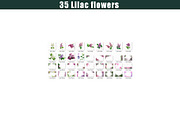 35 Lilac flower photo overlays,, a Layer Style Add-On by OverlayBox (Thumbnail 4 of 5)
