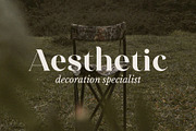 Celinda Regular Font, a Script Font by Believe Creatives (Thumbnail 8 of 10)