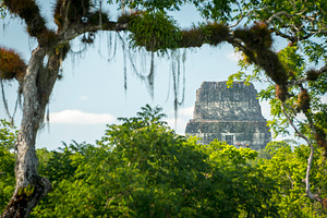 Tikal Mayan Jungle Ruins, an Architecture Photo by THP Creative