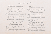 Dengacho Signature Signature Script, a Script Font by Denustudios (Thumbnail 6 of 12)