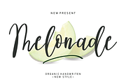 Beautiful Font Bundles Collections, a Script Font by Scratchones (Thumbnail 5 of 24)