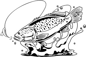 Bass Fish Cartoon Character Jumping