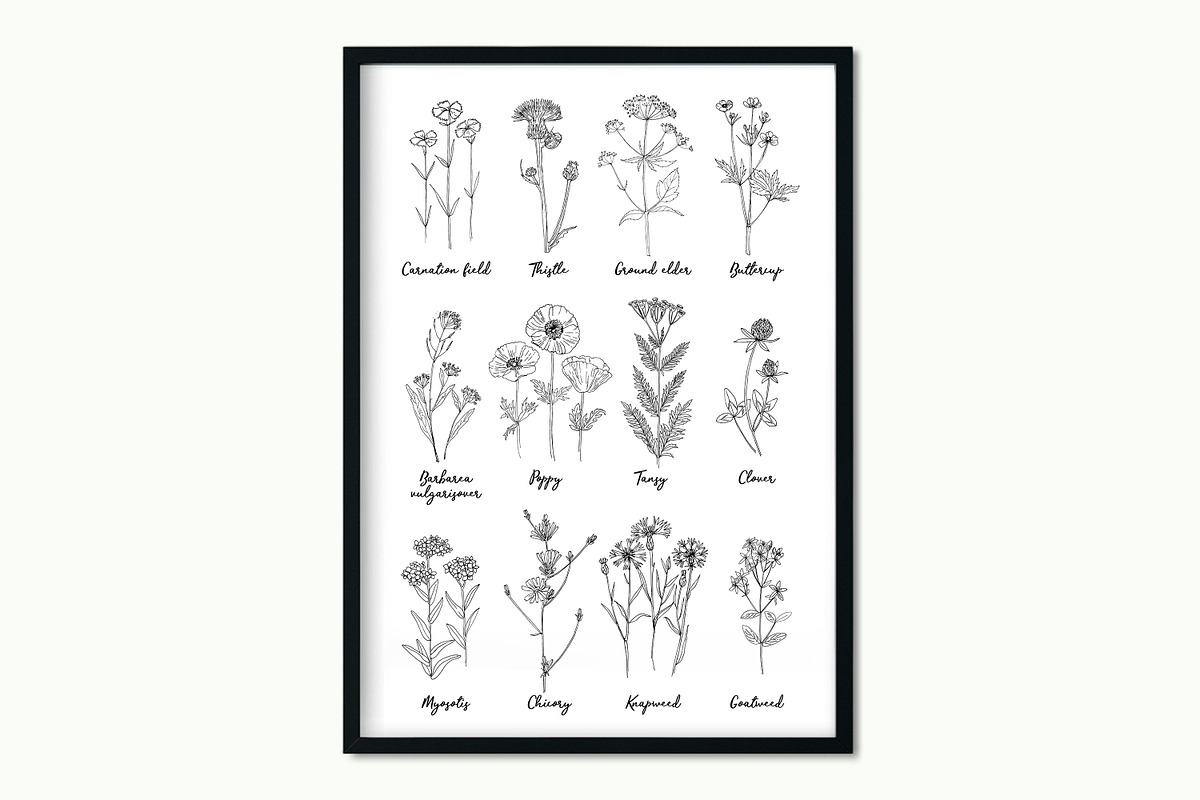 Wildflowers and herbs line sketch, a Decorative Illustration by irina.vaneeva (Photo 7 of 10)