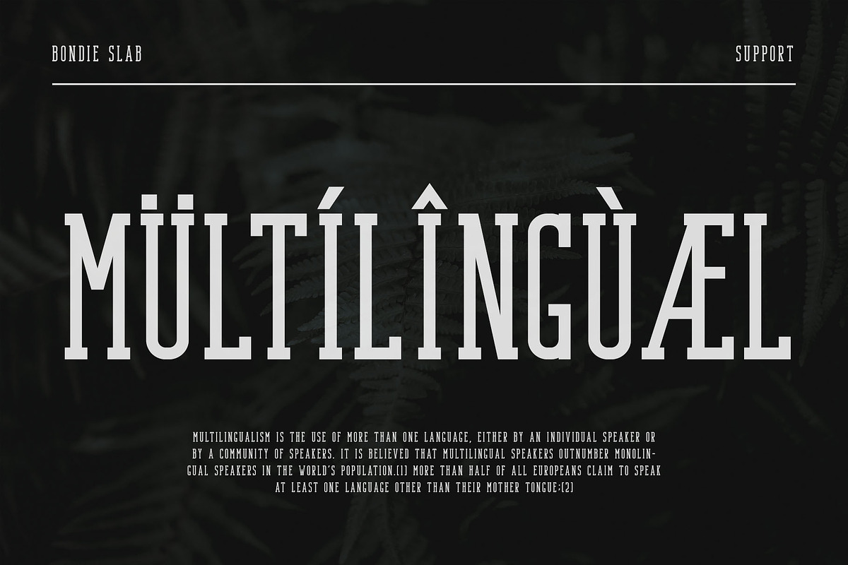 Bondie - Condensed Slab Serif Font, a Slab Serif Font by Craft Supply Co. (Photo 12 of 13)