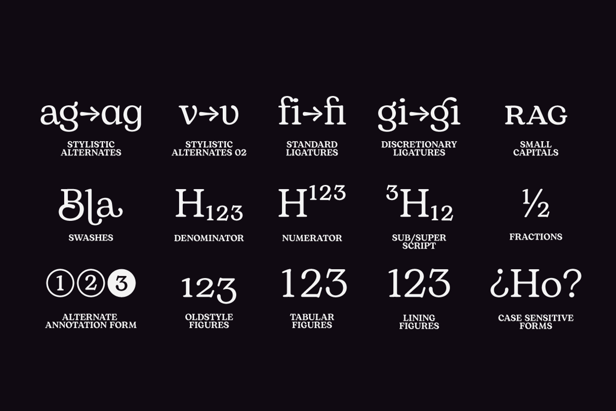 Bogart - 28 fonts, a Serif Font by Zetafonts (Photo 15 of 16)