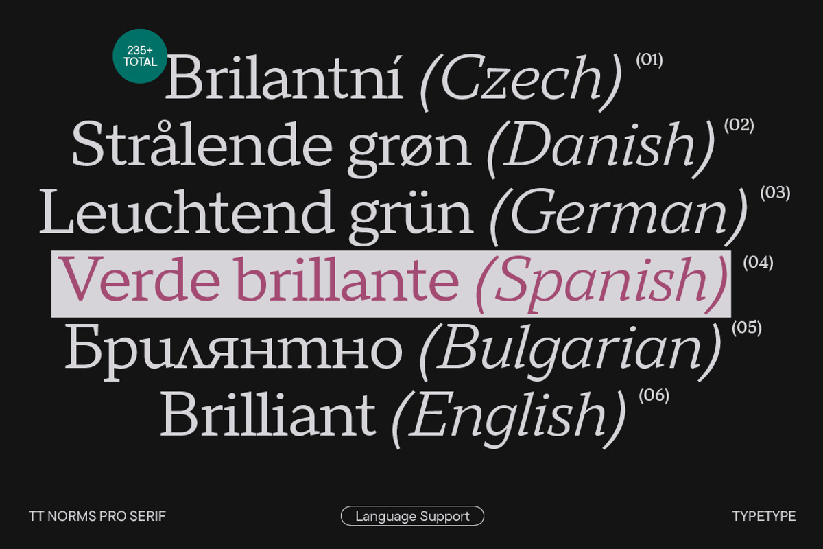 TT Norms Pro Serif, a Serif Font by TypeType (Photo 10 of 15)
