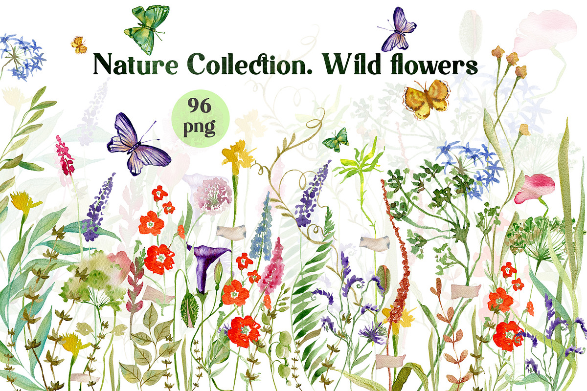 Nature Collection watercolour flower, a Decorative Illustration by ElenazlataArt (Photo 1 of 8)