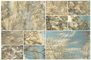 Plum Blossom Floral Backgrounds, a Background Graphic by lerinartstudio (Thumbnail 10 of 11)