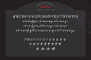 Scedhies - Script, a Script Font by Lemon Studio Type (Thumbnail 8 of 9)