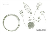 Isolated real flowers clipart set, an Object Graphic by The Graphic Parade (Thumbnail 9 of 14)