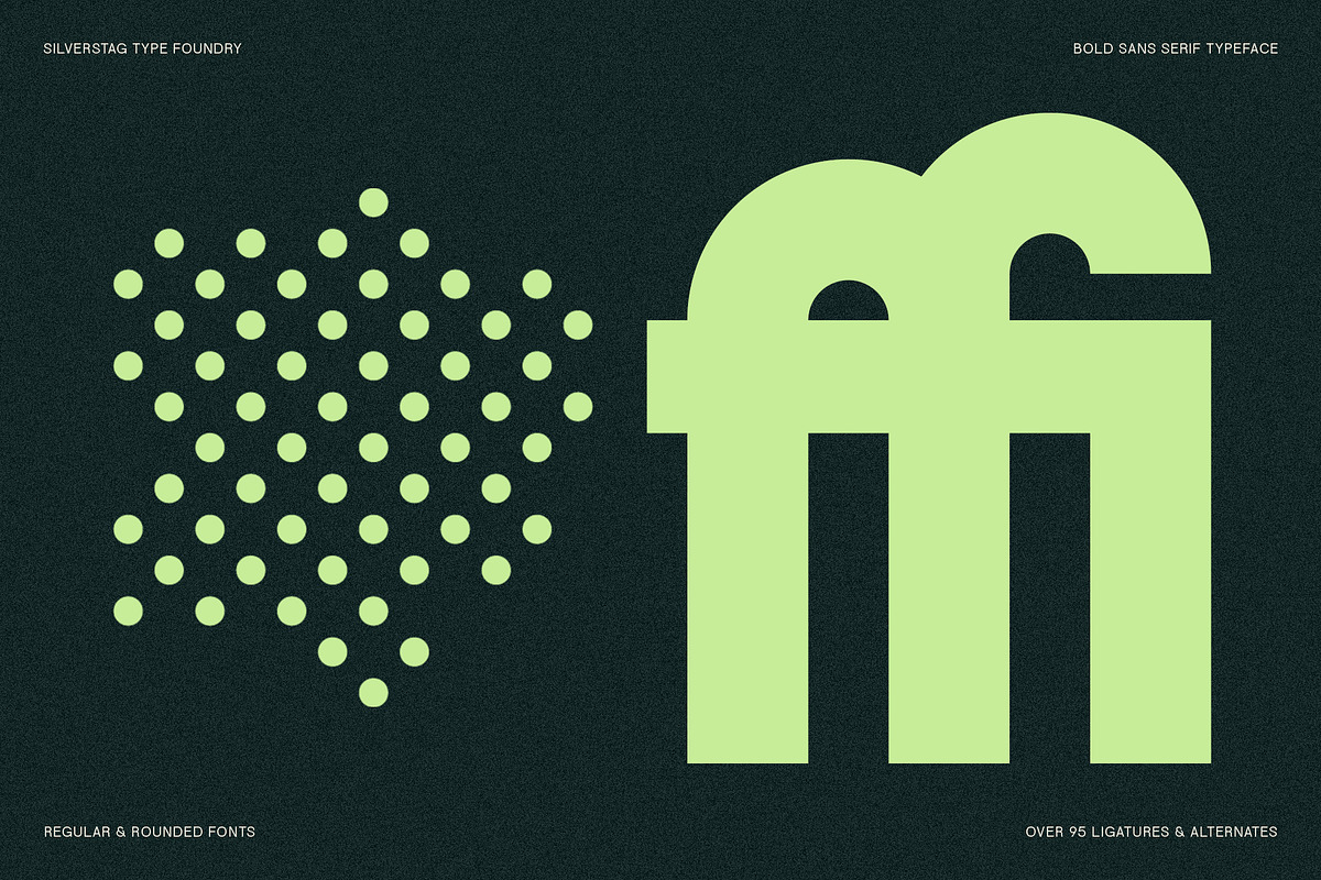 FlyBridge - Bold Ligature Rich Sans, a Sans Serif Font by SilverStag Type Foundry (Photo 16 of 30)