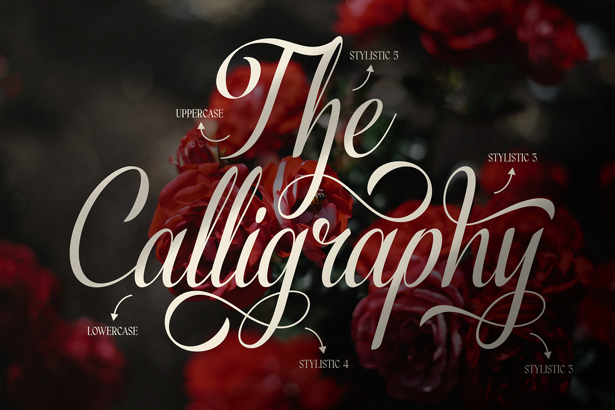 Varenda - Classic Elegant Script, a Script Font by MaikoHatta (Photo 5 of 7)