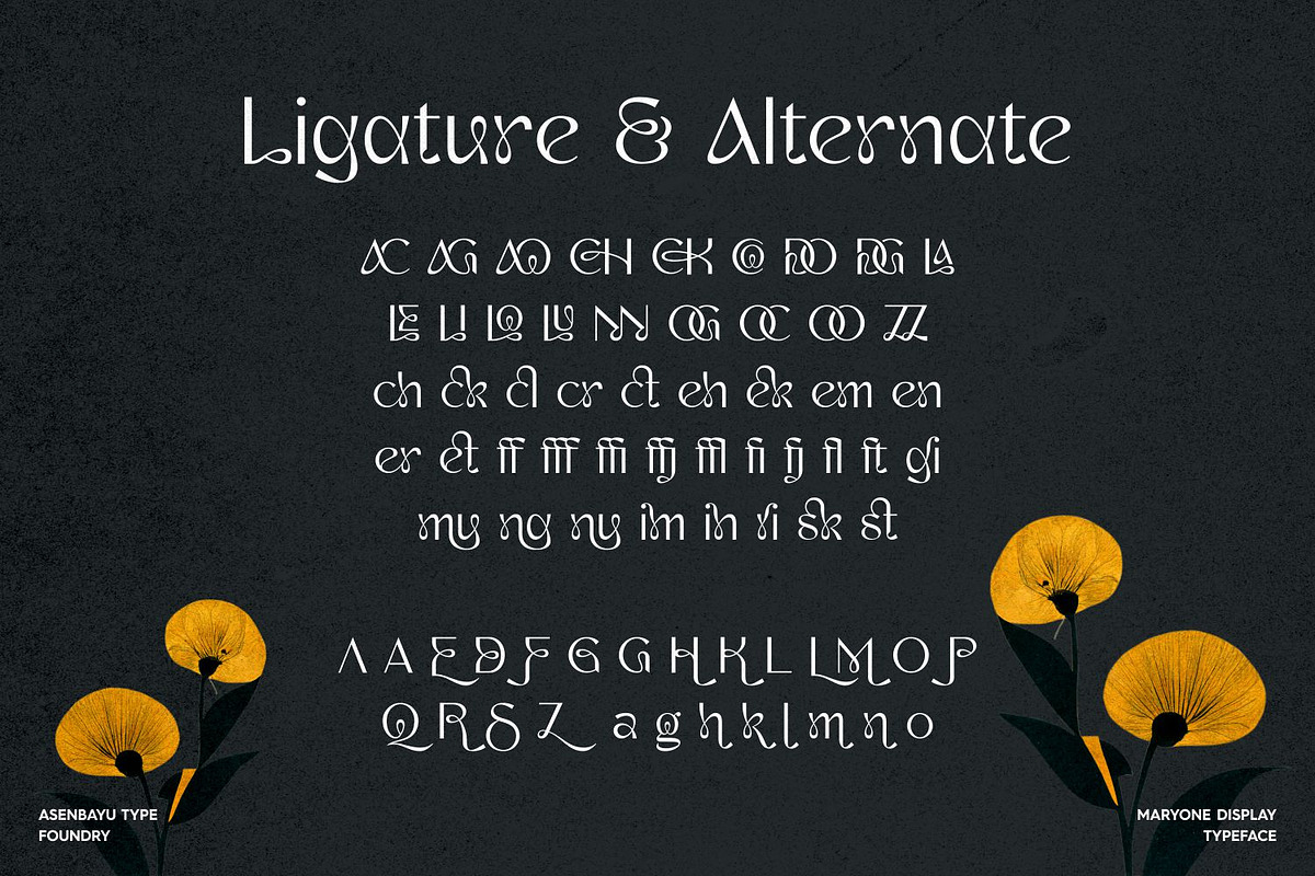 Maryone Font, a Serif Font by Asenbayu (Photo 12 of 15)
