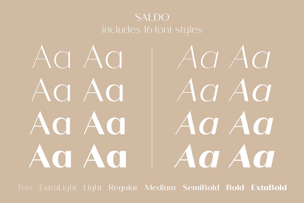 Saldo | Font Family, a Sans Serif Font by Larin Type Co. (Photo 9 of 15)