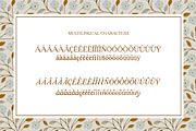 Stonewynd Rustic Serif Font, a Font by Eclectic Anthology (Thumbnail 6 of 8)