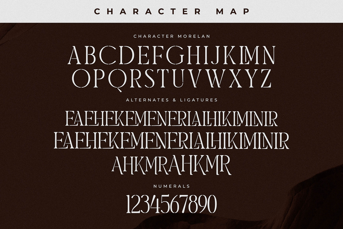 Morelan Modern Display Serif, a Serif Font by Storytype Studio (Photo 13 of 15)