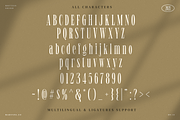 Moftein Sough - Display Font + Bonus, a Serif Font by Martype Co (Thumbnail 9 of 10)