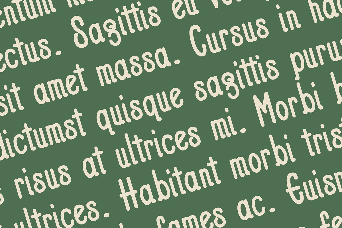 Chic Serenity - Serif Font Type, a Script Font by ArtiXLabs (Photo 9 of 11)
