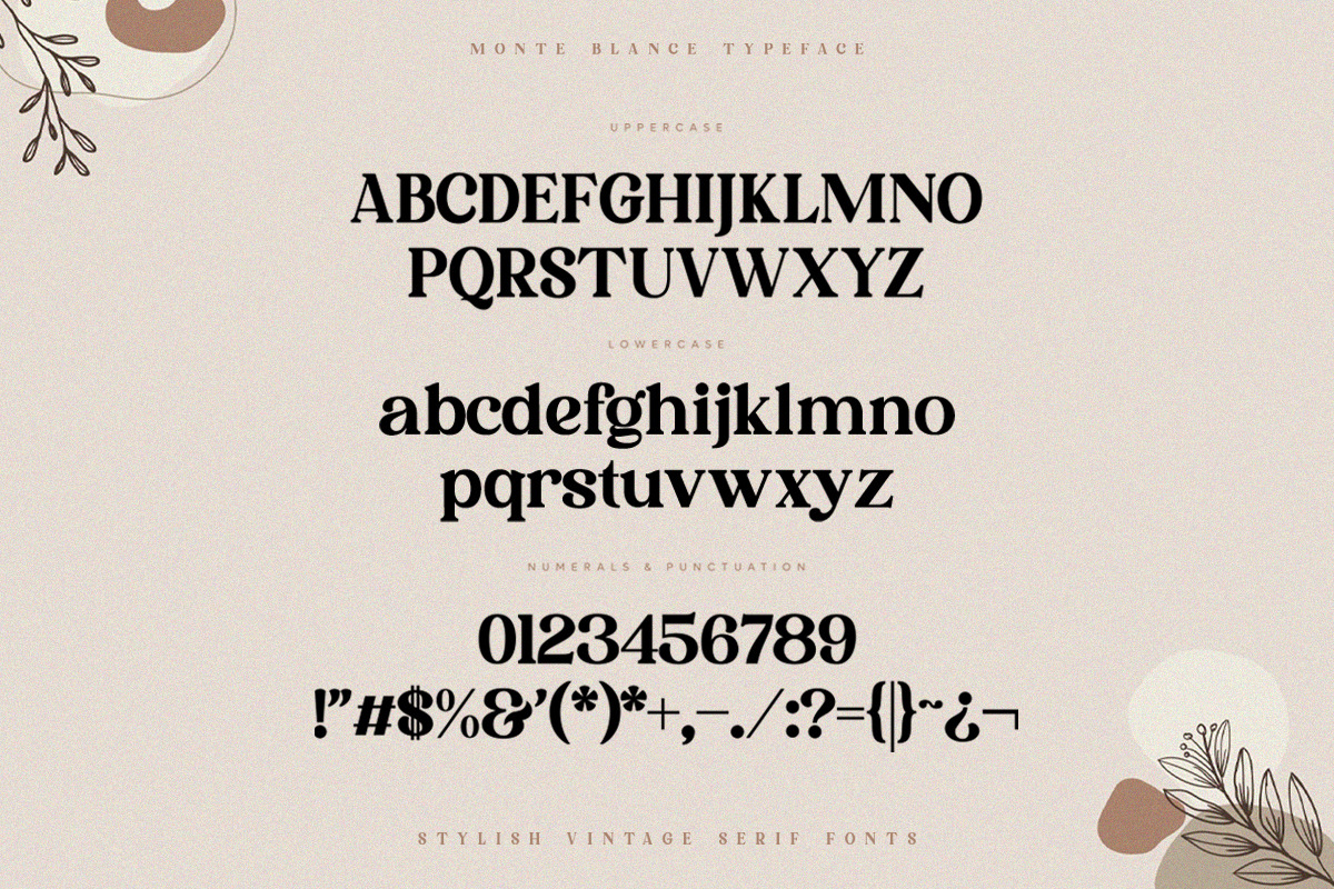 Monte Blance - Vintage Stylish Serif, a Serif Font by TypeFounder (Photo 10 of 10)