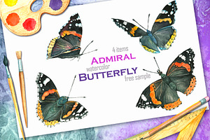 Butterfly Admiral