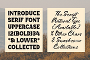 Regal Drownfall Font, a Serif Font by Marvadesign (Thumbnail 4 of 8)