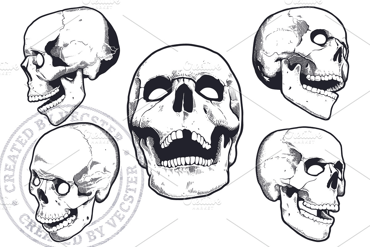 Vintage Vector Skulls Pack, a Decorative Illustration by Vecster (Photo 3 of 6)