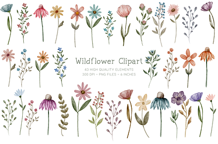 Painted Watercolor Flowers Clipart, a Decorative Illustration by Murphy & Frank