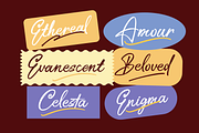 Ceylonite – Stylish Handwriting Font, a Script Font by Pokal Studio (Thumbnail 9 of 16)