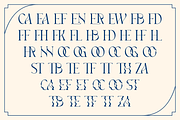 Vageli - Unique Font Duo, a Serif Font by Valentino Vergan (Thumbnail 10 of 12)