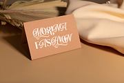 Brighton Daction Serif Font, a Serif Font by Graphicxell (Thumbnail 13 of 19)