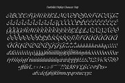 Darkslide - Elegant Display Serif, a Font by Swandtype (Thumbnail 9 of 9)