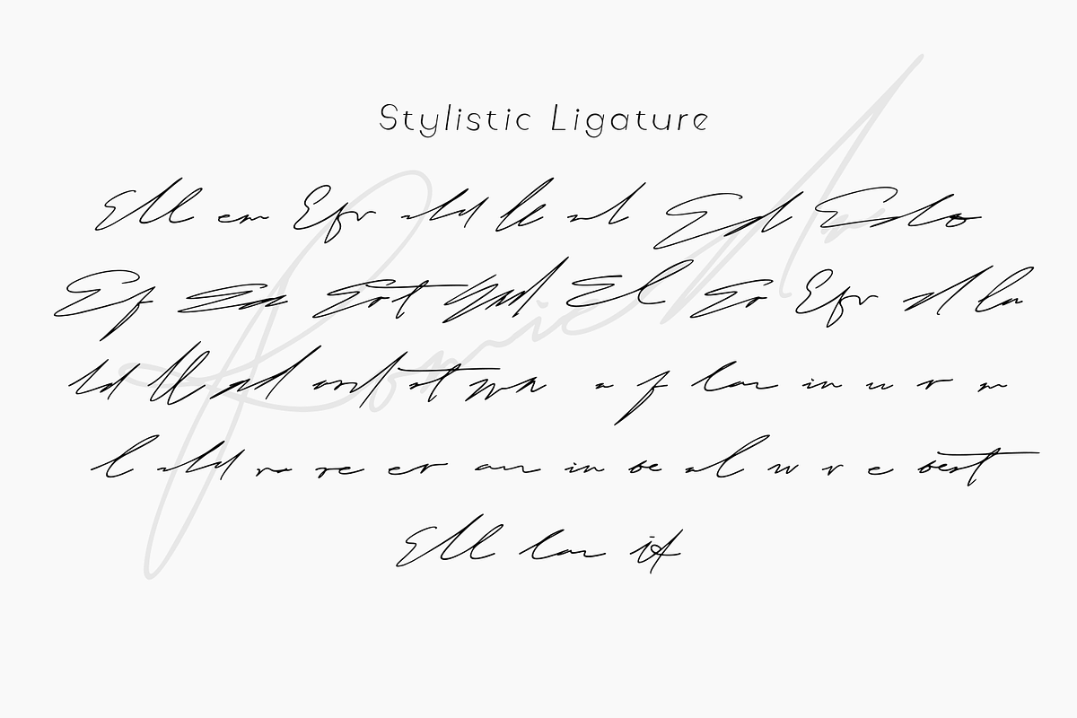 Romieda | Signature Script, a Script Font by Mozyen Studio (Photo 8 of 11)