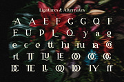 RS Djarum – New Classic Serif Font, a Serif Font by Rahagita Studio (Thumbnail 9 of 12)