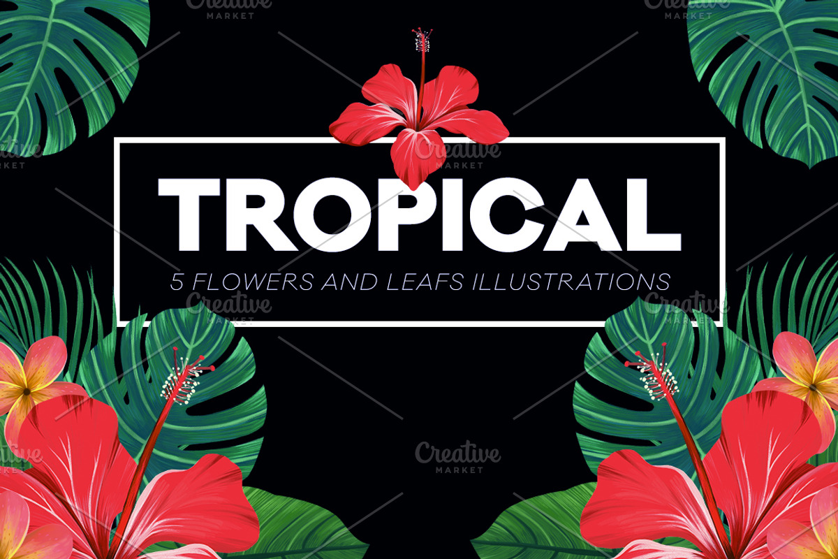 Tropical, an Illustration by Blanca Limon (Photo 1 of 7)
