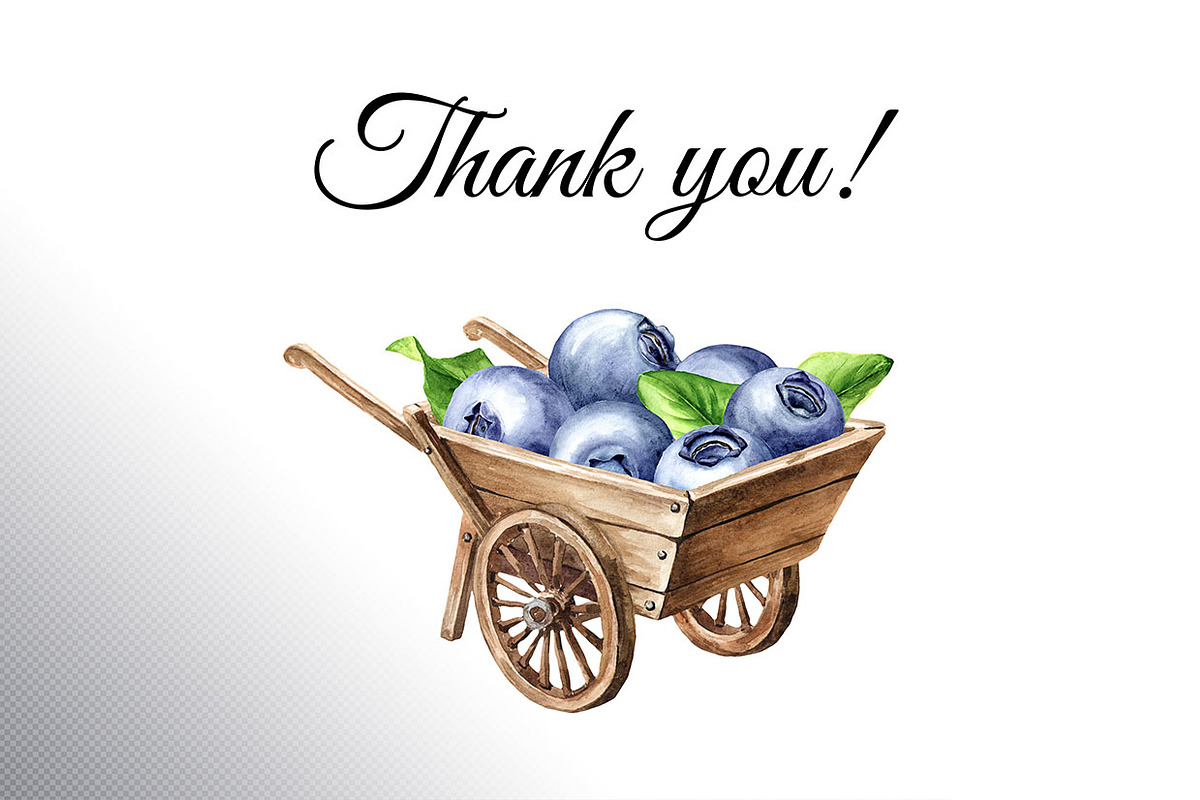 Blueberry. Watercolor collection, a Food Illustration by Daria Ustiugova (Photo 24 of 25)